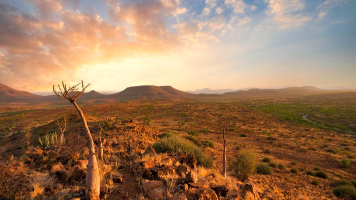 Namibia Etendeka unsplash