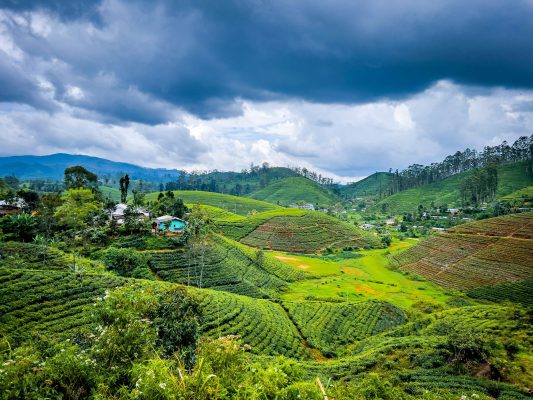 Sri Lanka unsplash