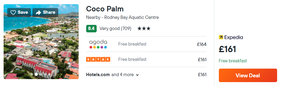 Coco Palm