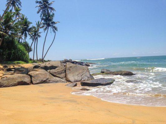 Sri Lanka unsplash