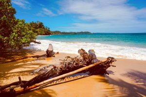 Panama Bastimentos Island unsplash