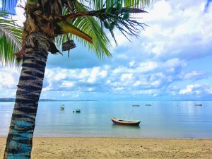 Brazil Salvador unsplash