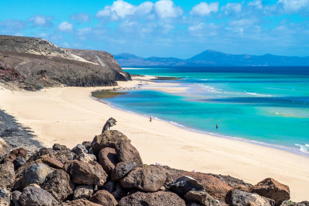 Spain Fuerteventura unsplash