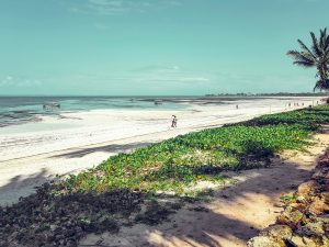 Kenya Mombasa unsplash