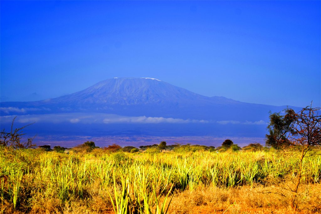 Tanzania Kilimanjaro unsplash