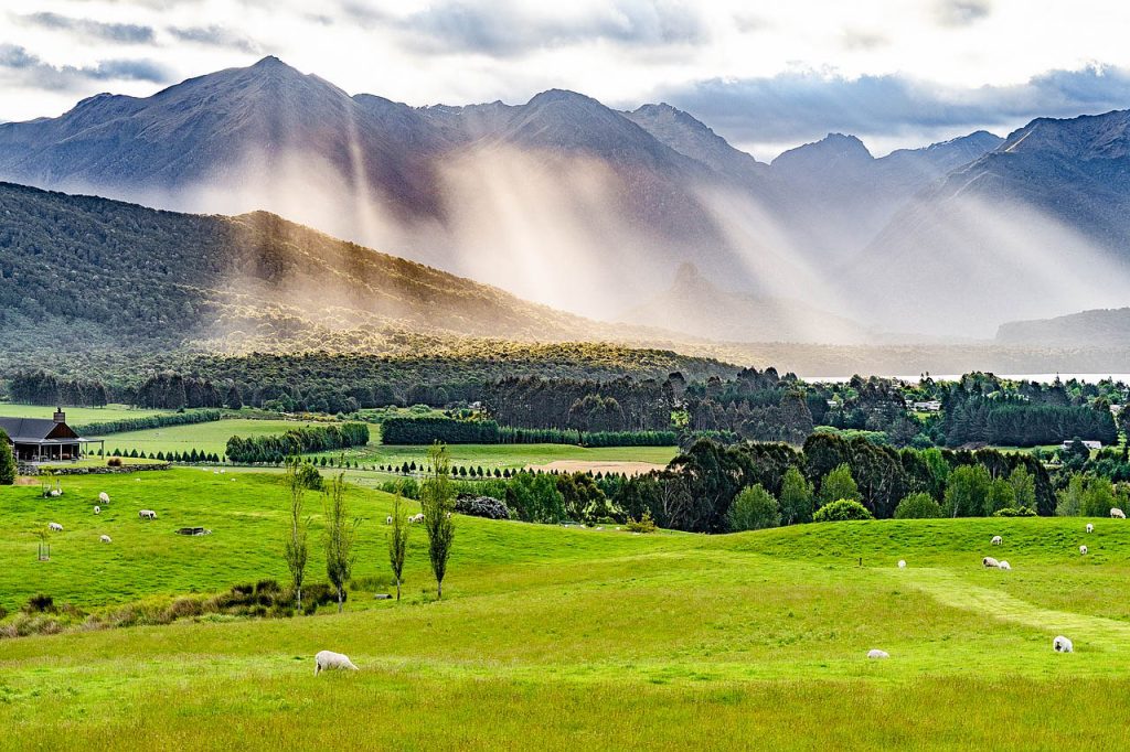 New Zealand pixabay