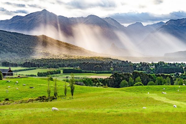 New Zealand pixabay