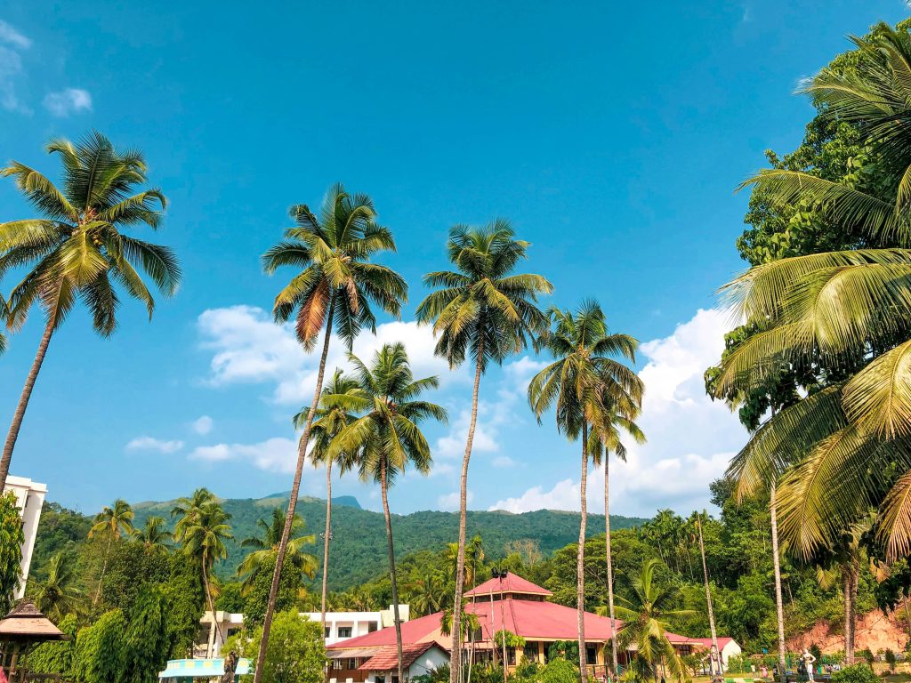 Malaysia Borneo unsplash