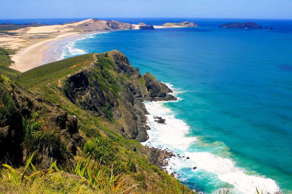 New Zealand unsplash