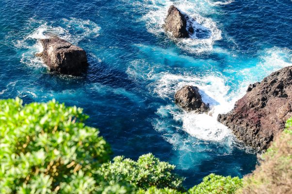 Spain La Palma unsplash