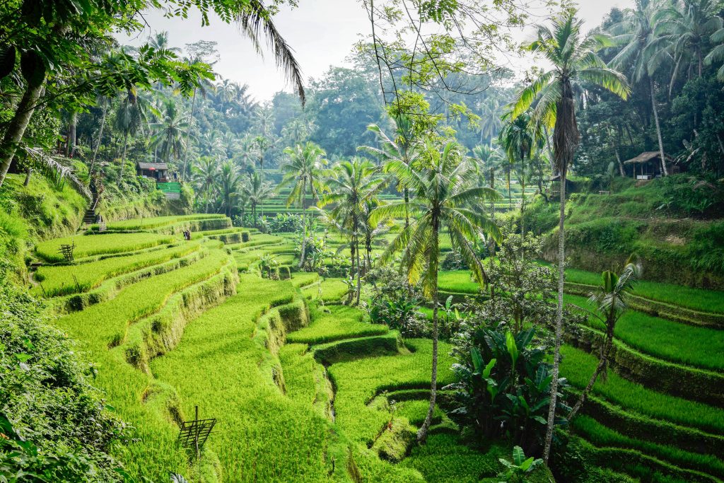 Indonesia Bali unsplash