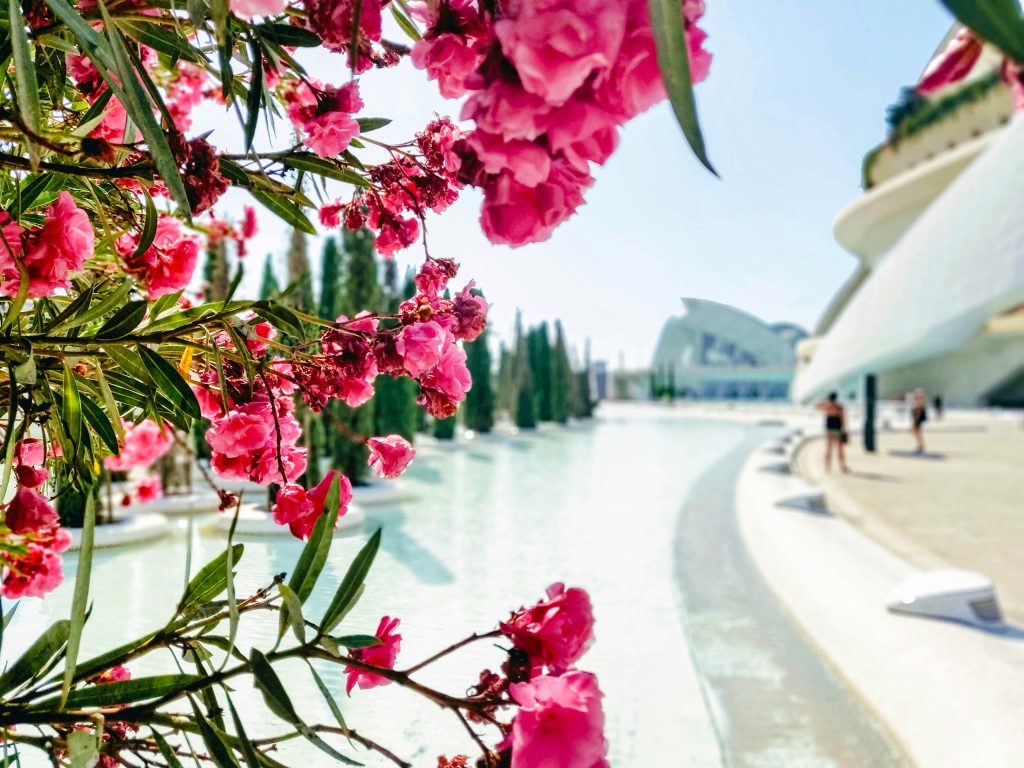 Spain Valencia unsplash