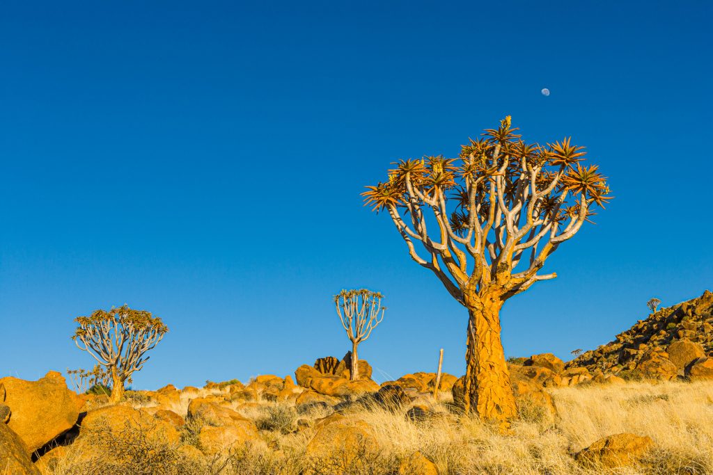Namibia unsplash