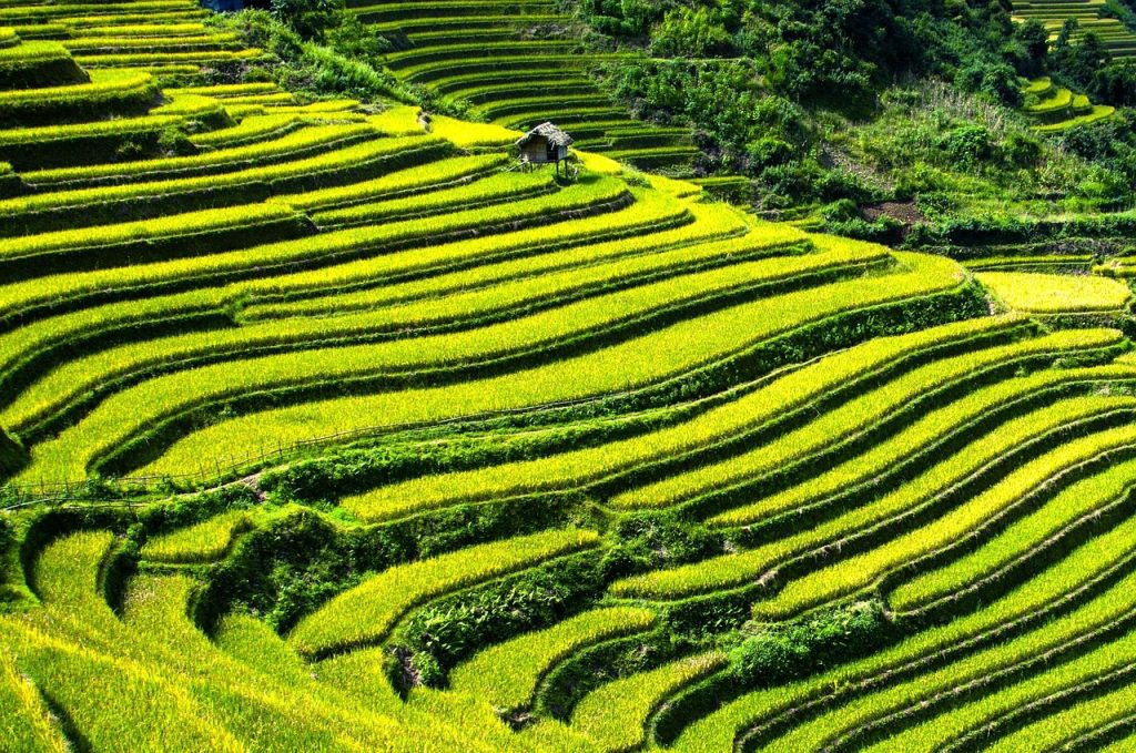 Vietnam pixabay