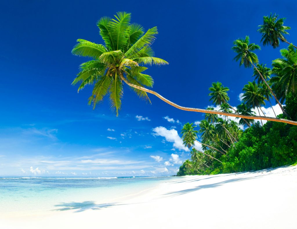 Maldives unsplash