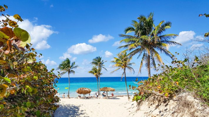 Barbados unsplash