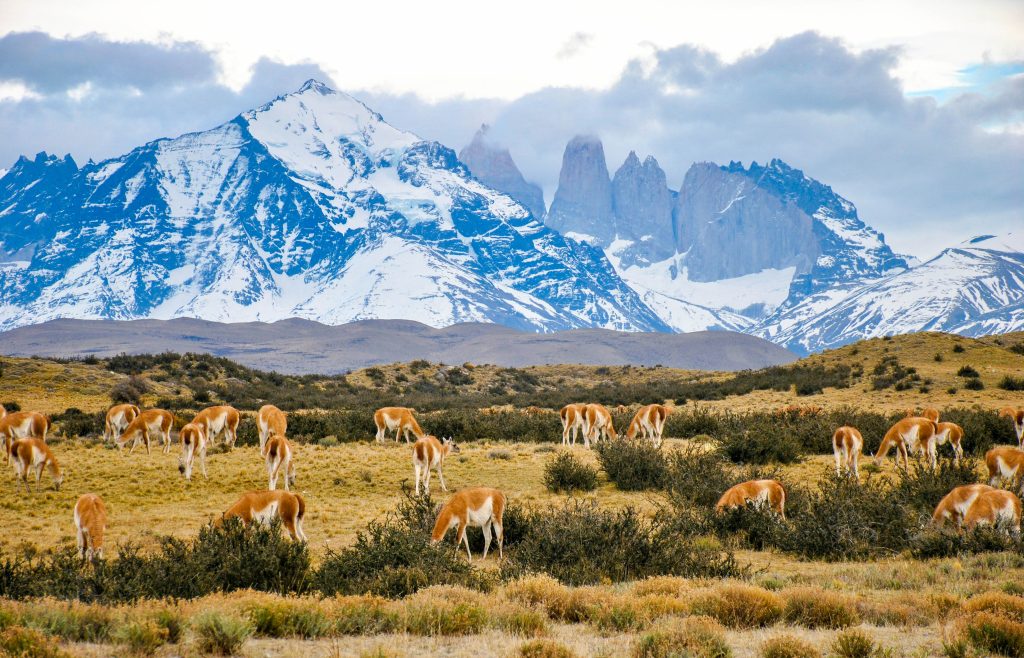 Chile unsplash