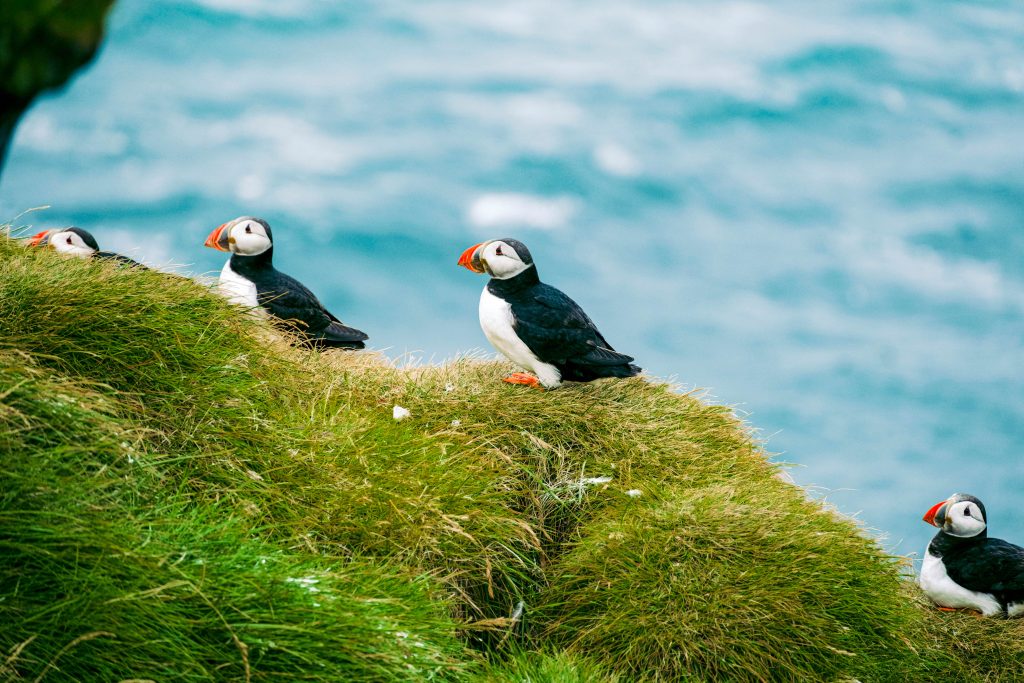Iceland unsplash