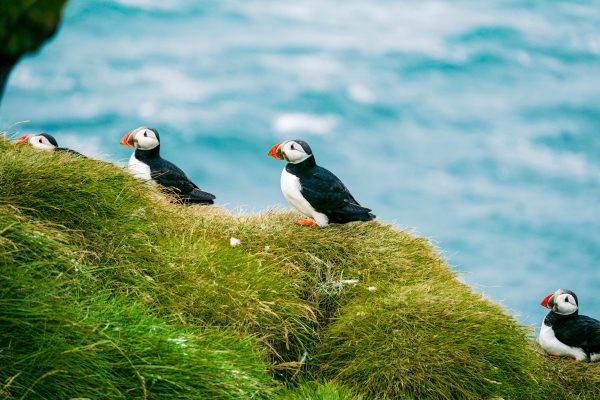 Iceland unsplash