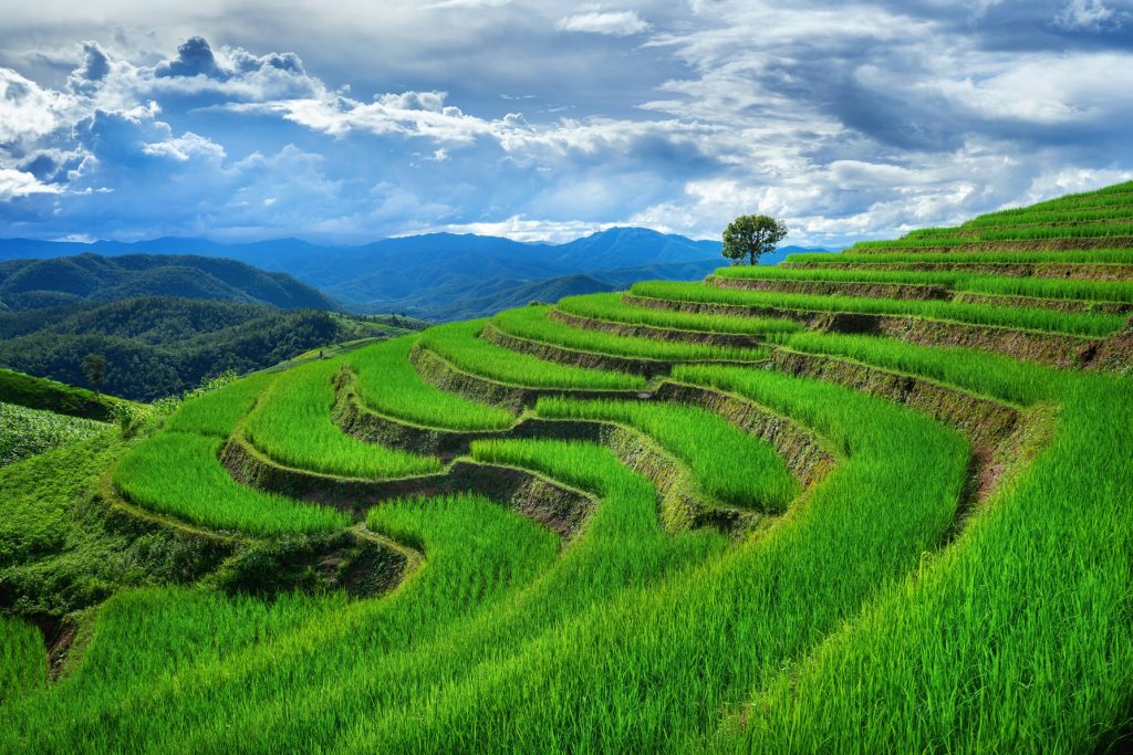 Vietnam unsplash