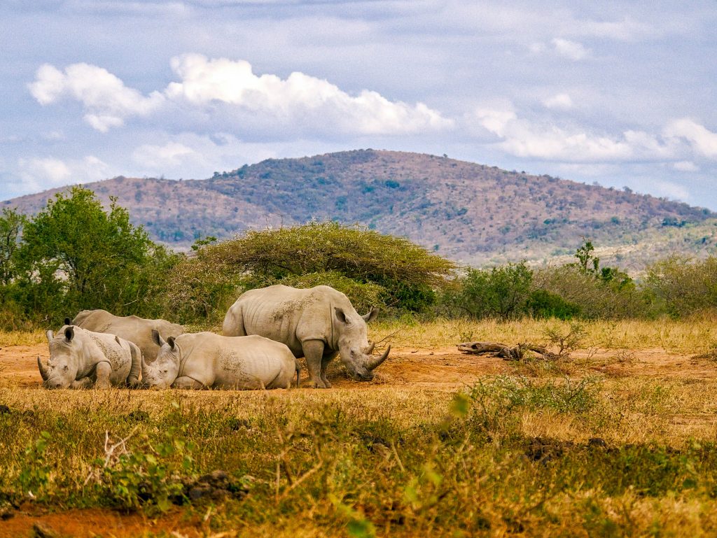 South Africa unsplash