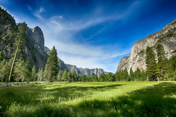 USA California Yosemite National Park unsplash