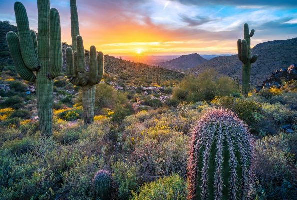USA Arizona unsplash