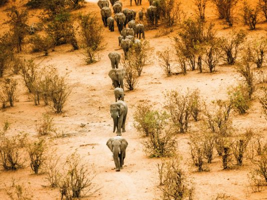 Zimbabwe unsplash