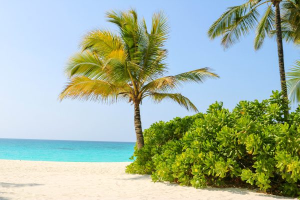 Tanzania Zanzibar unsplash