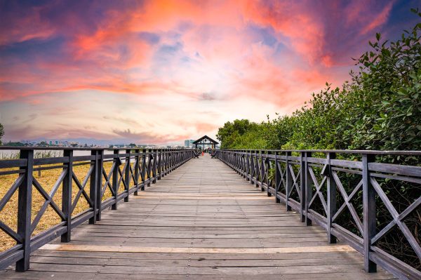 Ecuador Guayaquil pixabay