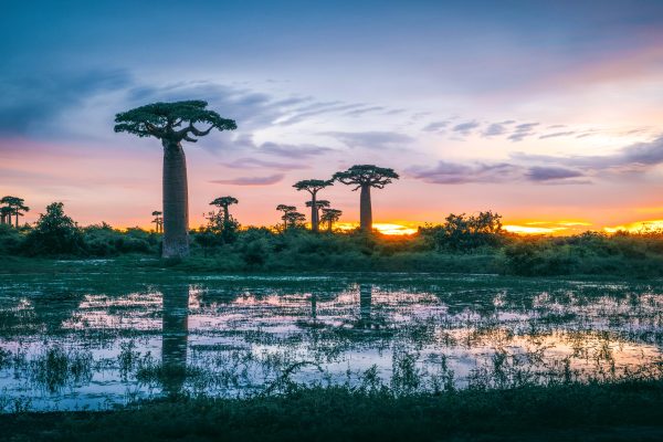 Madagascar unsplash