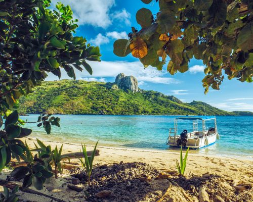 Fiji unsplash