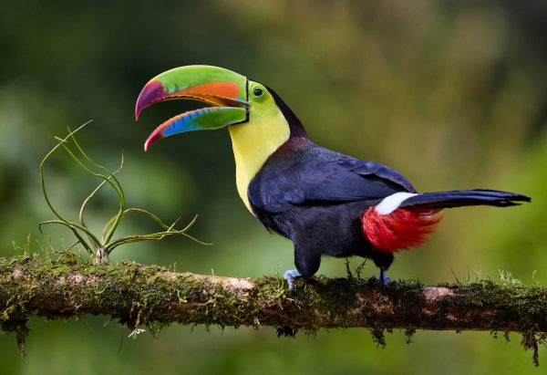 Costa Rica unsplash