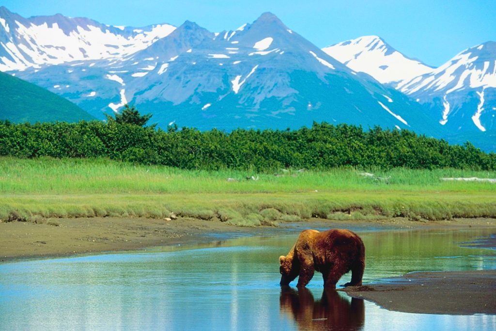 USA Alaska unsplash