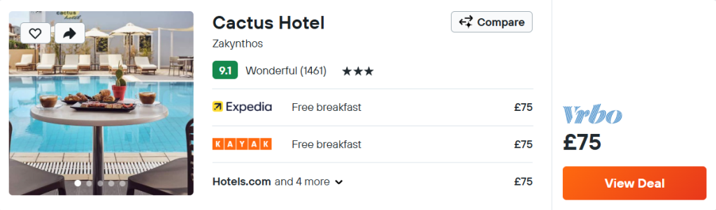 Cactus Hotel