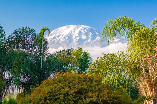 Kenya Kilimanjaro pixabay