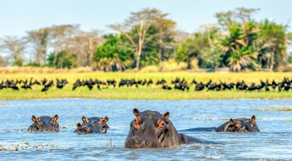 Uganda unsplash